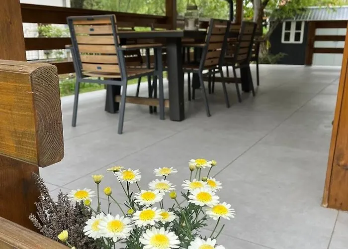 Topart22 At Velence *